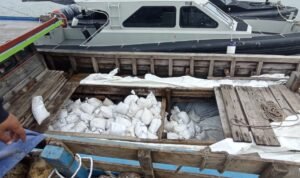 IMG-20260114-WA0068(1)